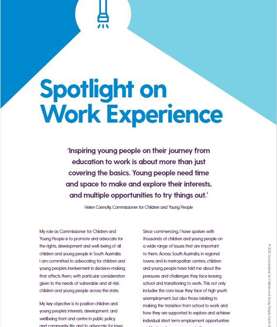 Spotlight on Work Experience